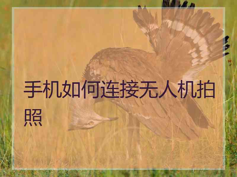 手机如何连接无人机拍照