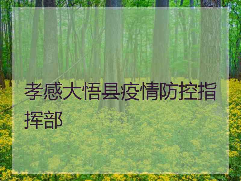 孝感大悟县疫情防控指挥部