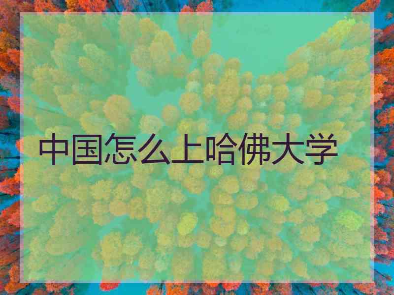 中国怎么上哈佛大学