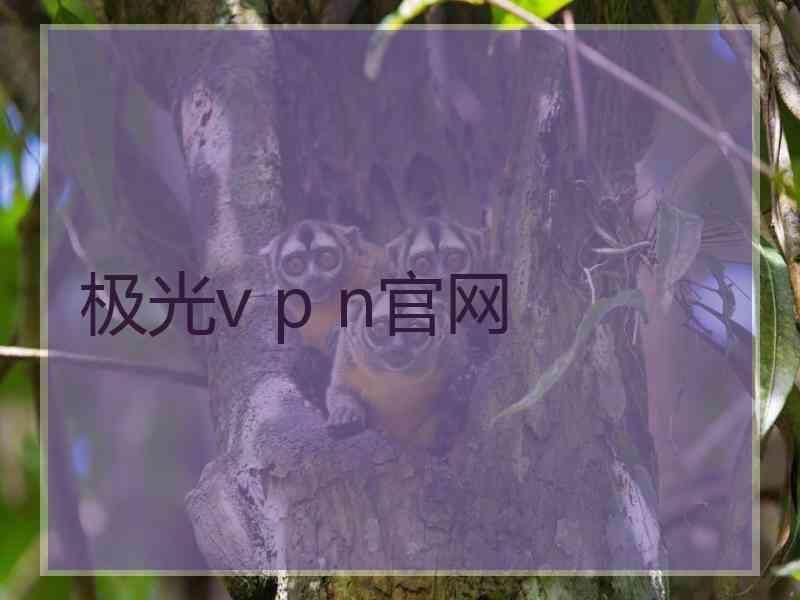 极光v p n官网