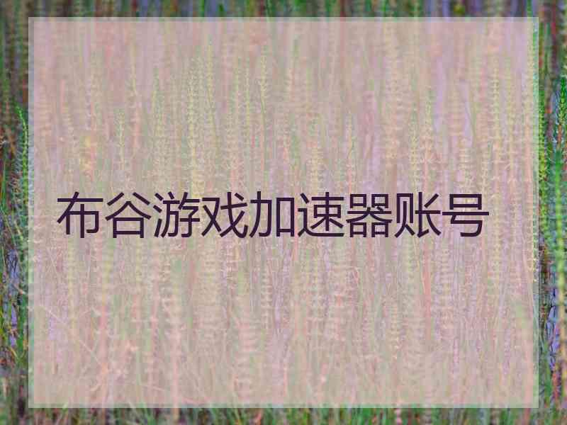布谷游戏加速器账号