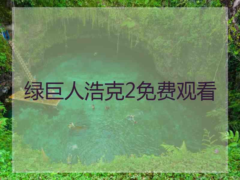 绿巨人浩克2免费观看