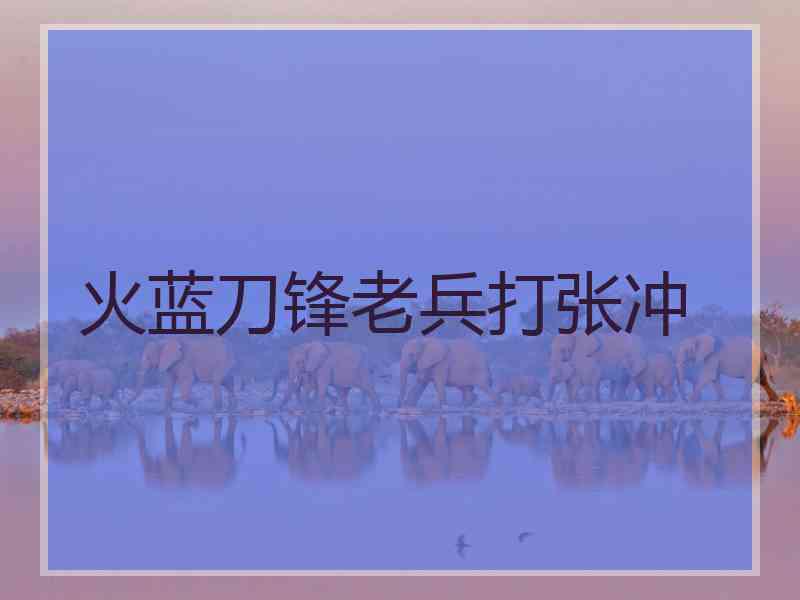火蓝刀锋老兵打张冲