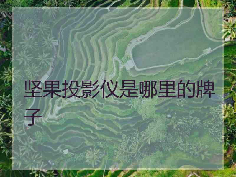 坚果投影仪是哪里的牌子
