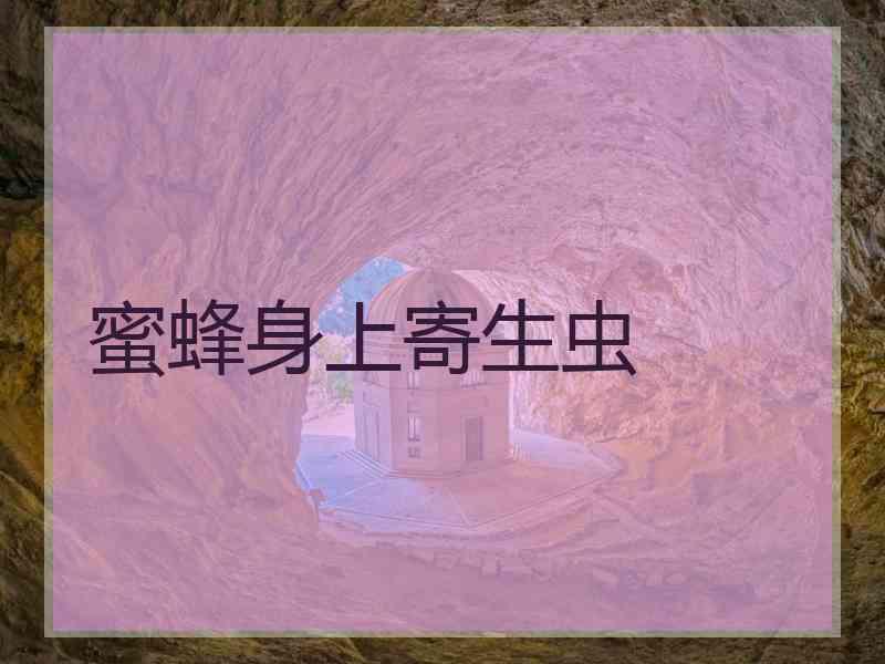 蜜蜂身上寄生虫