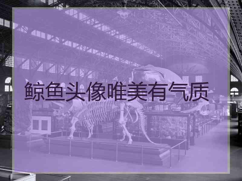 鲸鱼头像唯美有气质