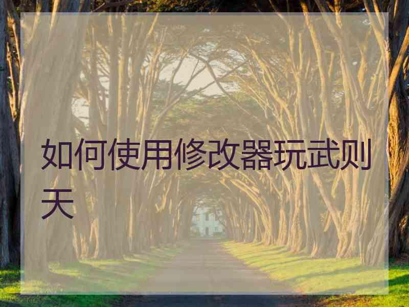 如何使用修改器玩武则天