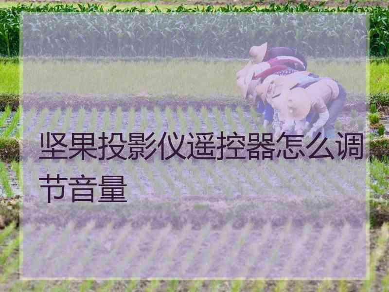 坚果投影仪遥控器怎么调节音量