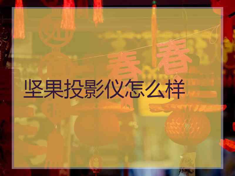 坚果投影仪怎么样