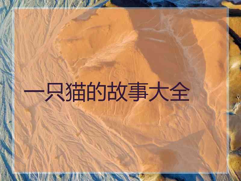 一只猫的故事大全