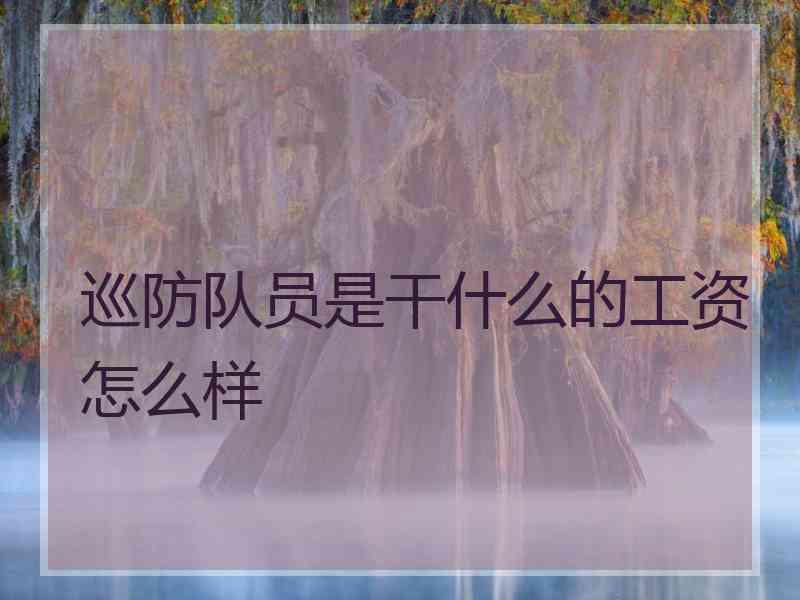 巡防队员是干什么的工资怎么样