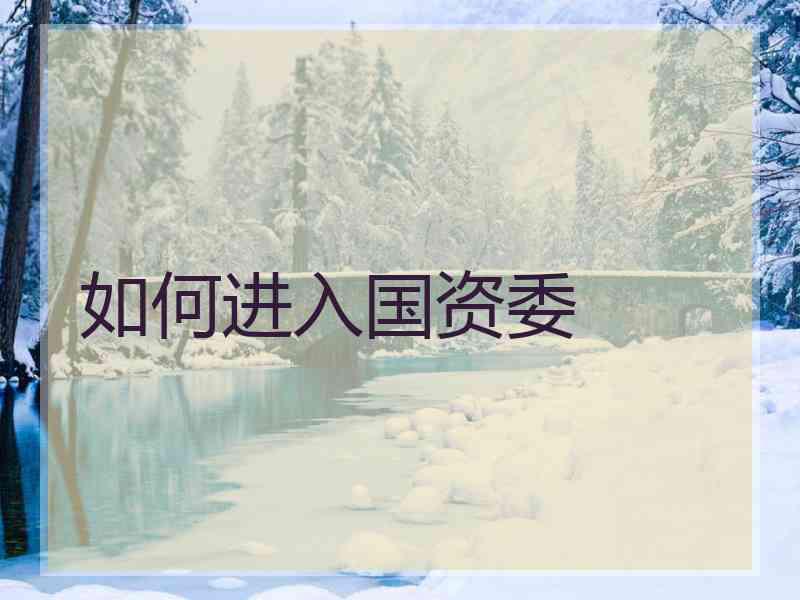 如何进入国资委