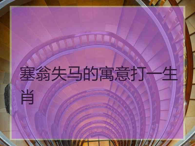 塞翁失马的寓意打一生肖