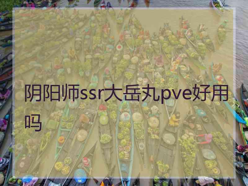 阴阳师ssr大岳丸pve好用吗