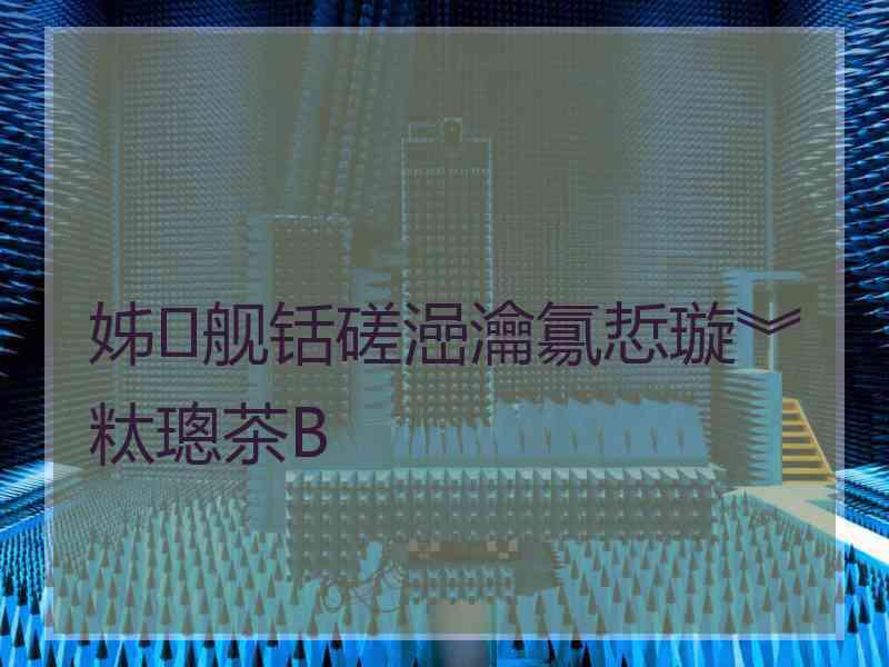 姊舰铦磋澏瀹氱悊璇︾粏璁茶В