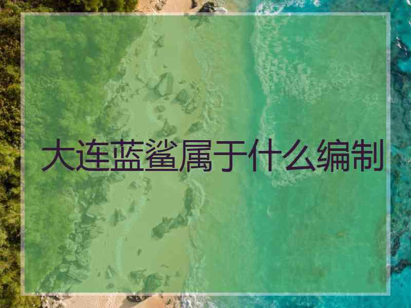 大连蓝鲨属于什么编制