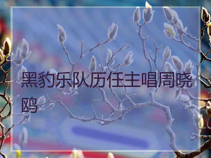 黑豹乐队历任主唱周晓鸥