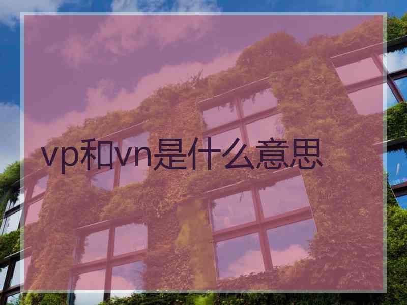 vp和vn是什么意思