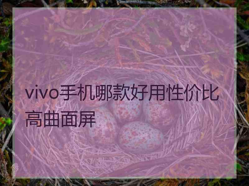 vivo手机哪款好用性价比高曲面屏