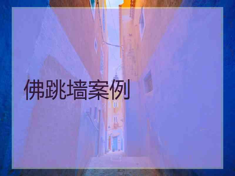 佛跳墙案例