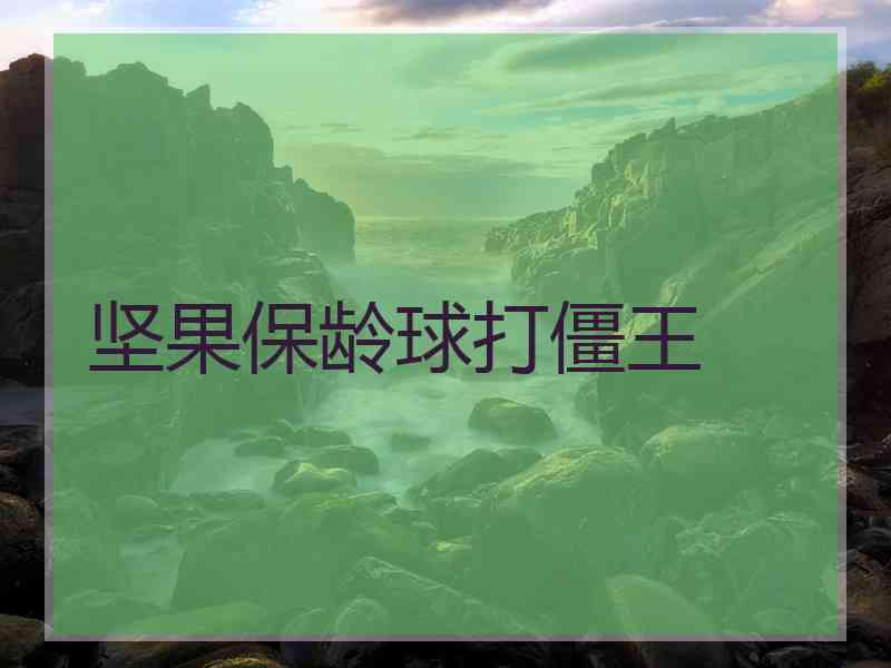坚果保龄球打僵王