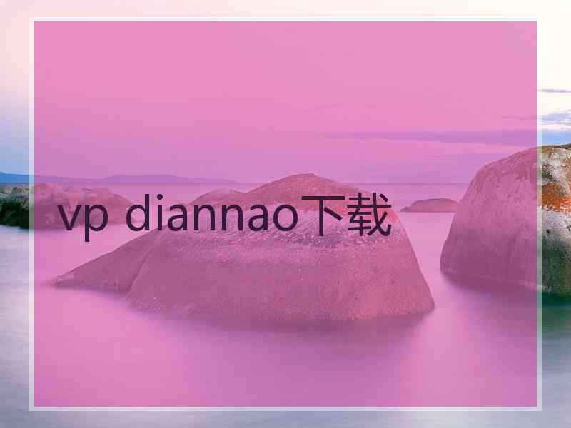 vp diannao下载