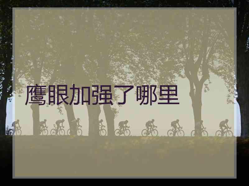 鹰眼加强了哪里
