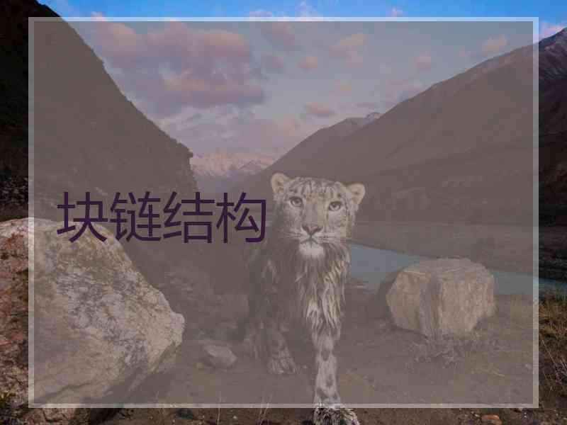 块链结构
