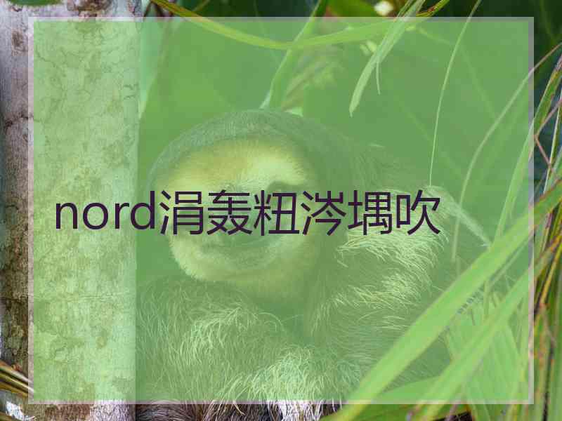 nord涓轰粈涔堣吹