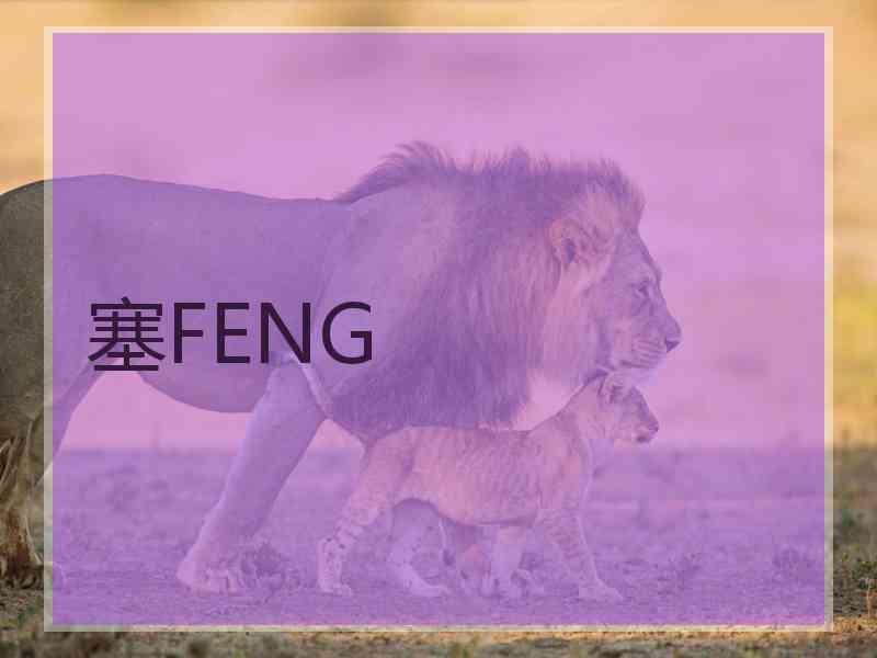 塞FENG