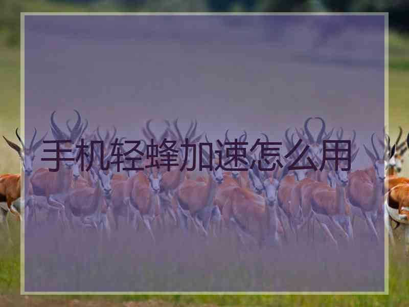 手机轻蜂加速怎么用