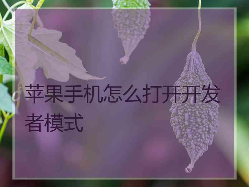 苹果手机怎么打开开发者模式