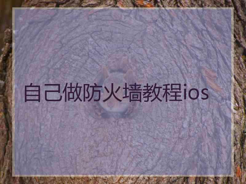 自己做防火墙教程ios