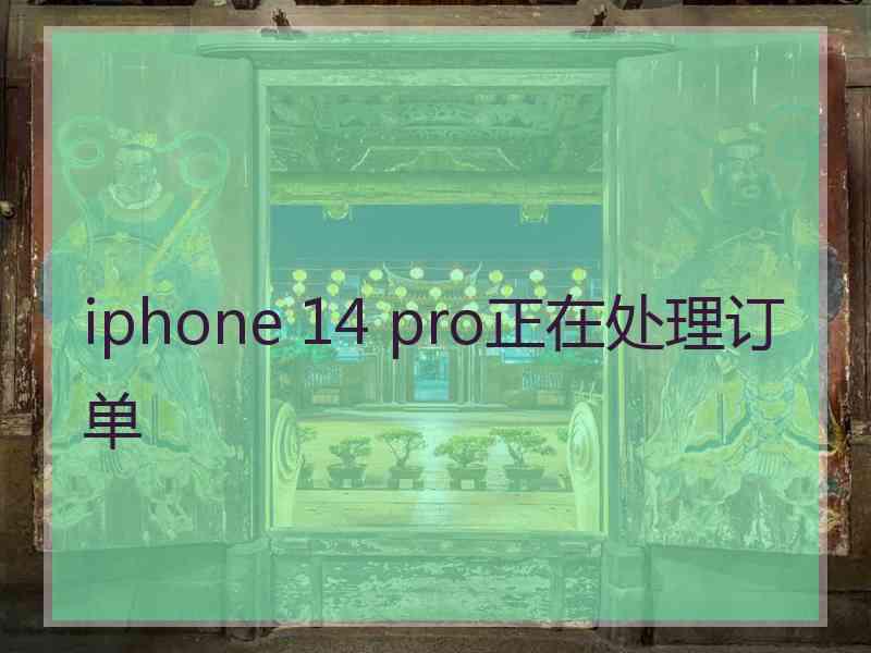 iphone 14 pro正在处理订单