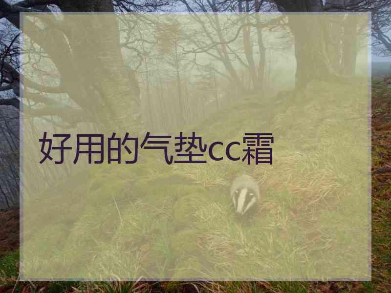 好用的气垫cc霜