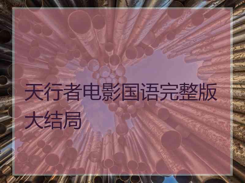 天行者电影国语完整版大结局