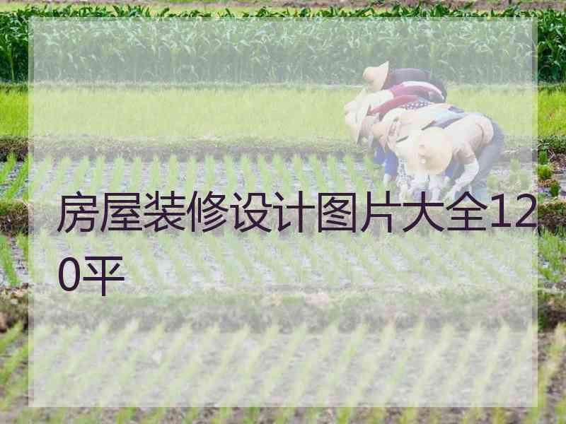 房屋装修设计图片大全120平