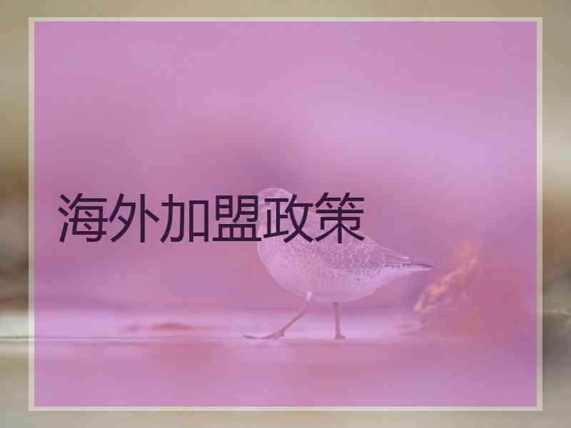 海外加盟政策