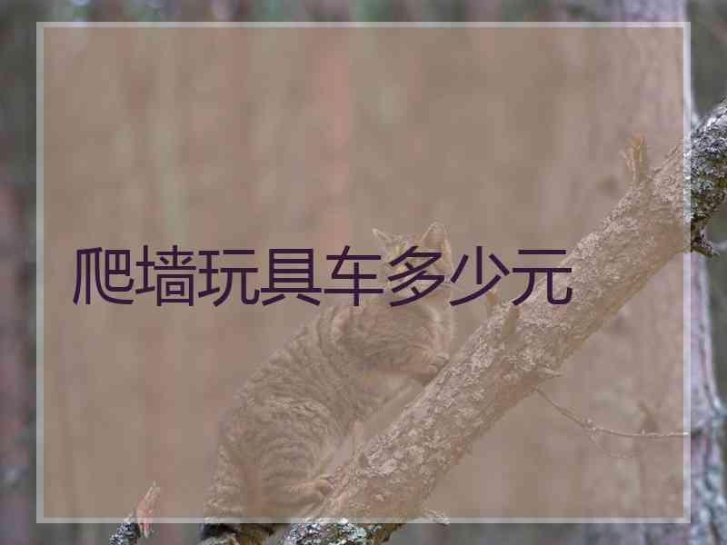 爬墙玩具车多少元