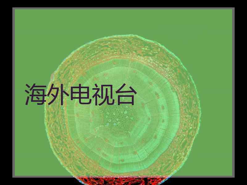 海外电视台