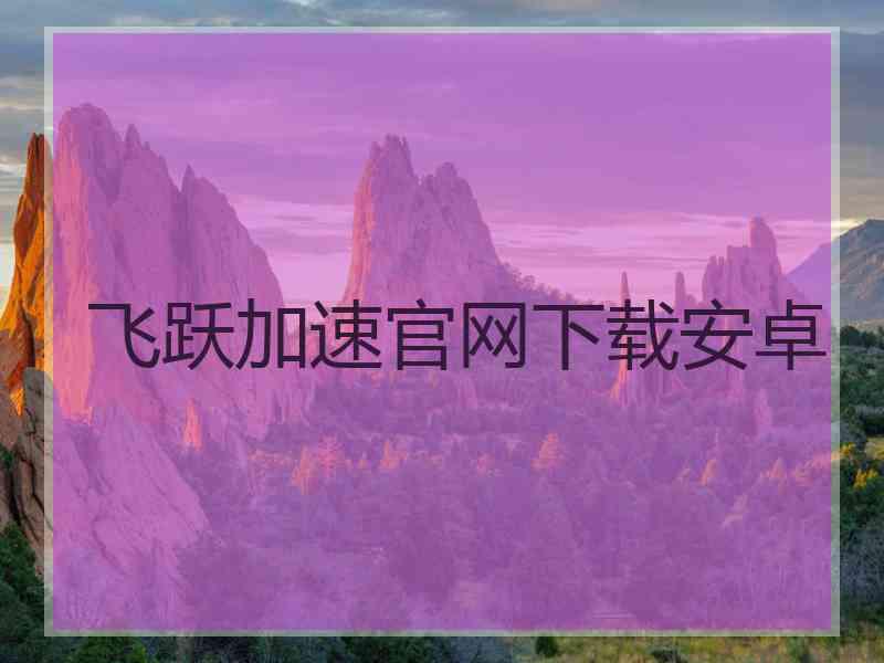 飞跃加速官网下载安卓