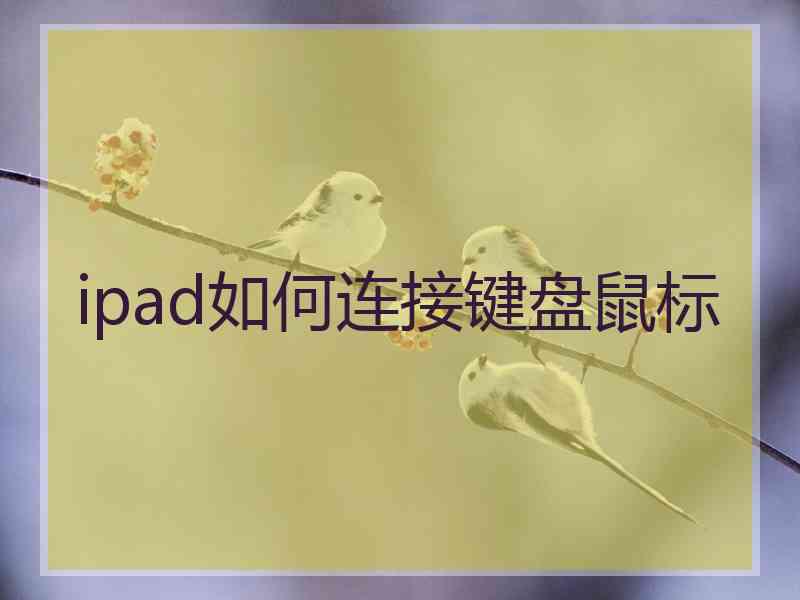 ipad如何连接键盘鼠标