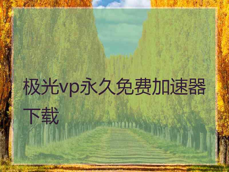 极光vp永久免费加速器下载