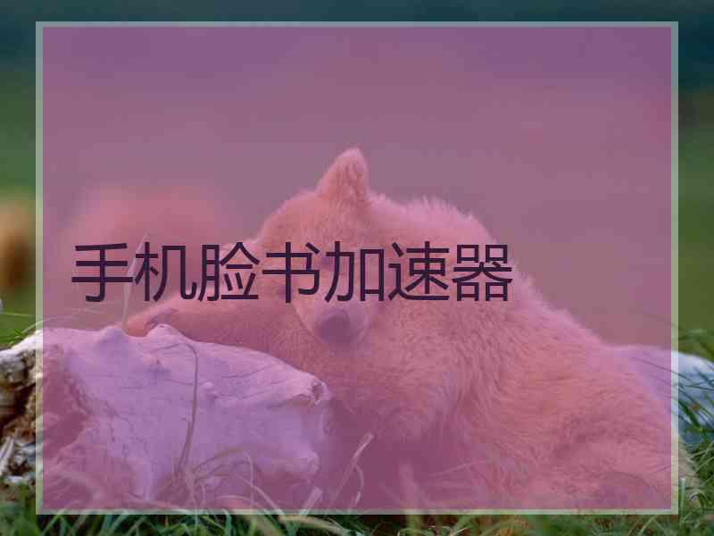 手机脸书加速器
