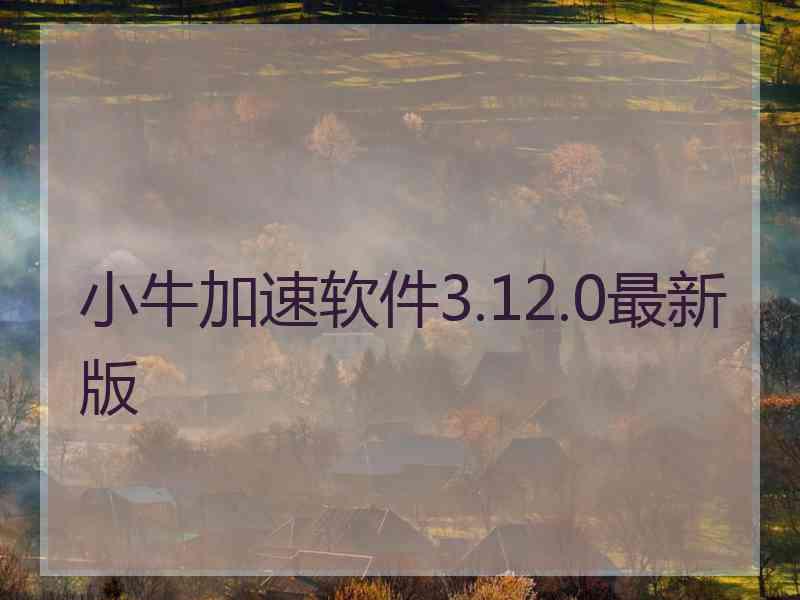 小牛加速软件3.12.0最新版