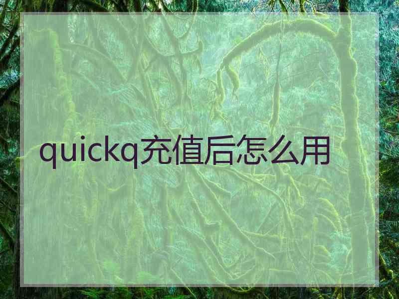 quickq充值后怎么用