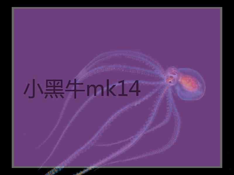小黑牛mk14