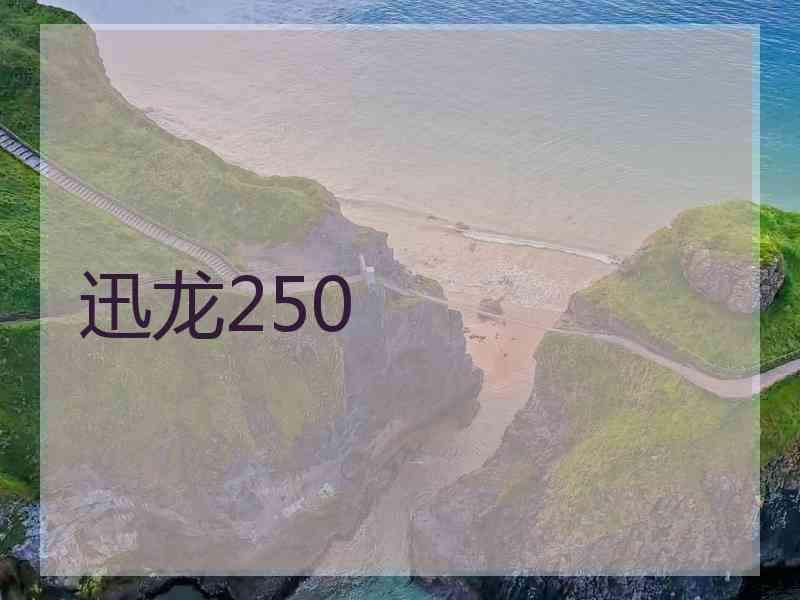 迅龙250