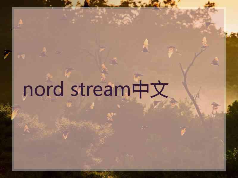 nord stream中文