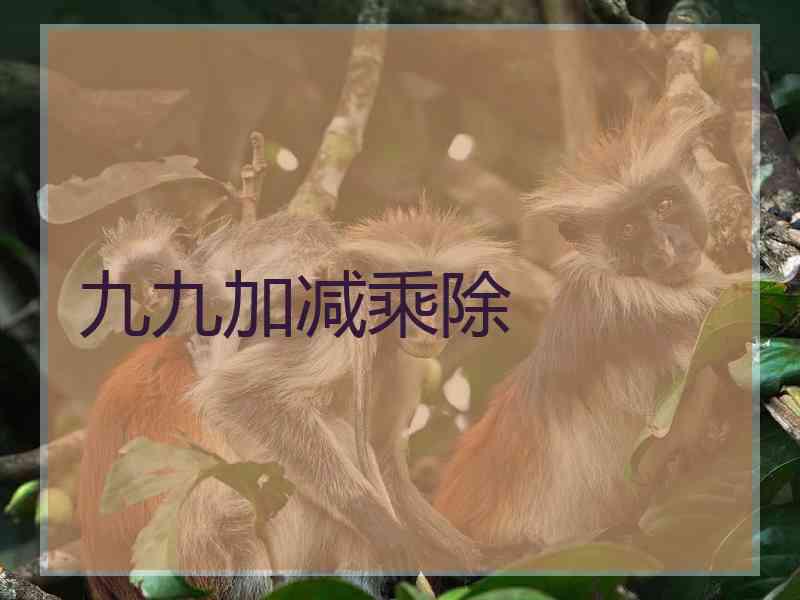 九九加减乘除